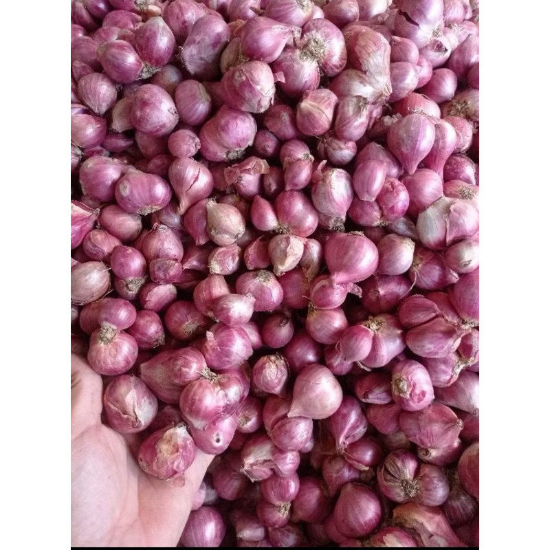 

BAWANG MERAH 1kg super