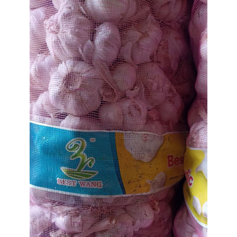 

Bawang putih fresh Murah