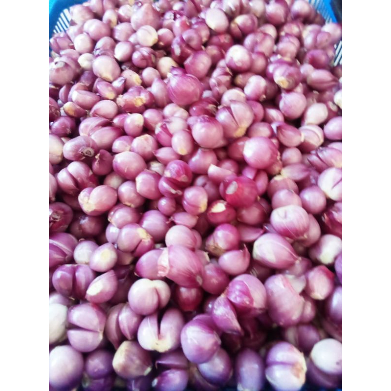 

Bawang merah kupas