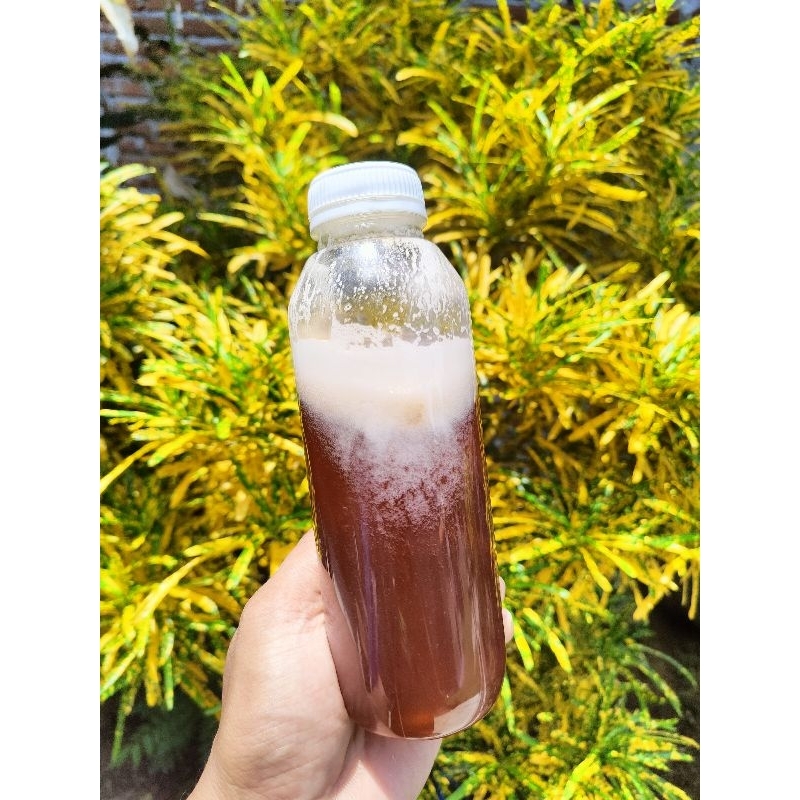 

MADU Syekha