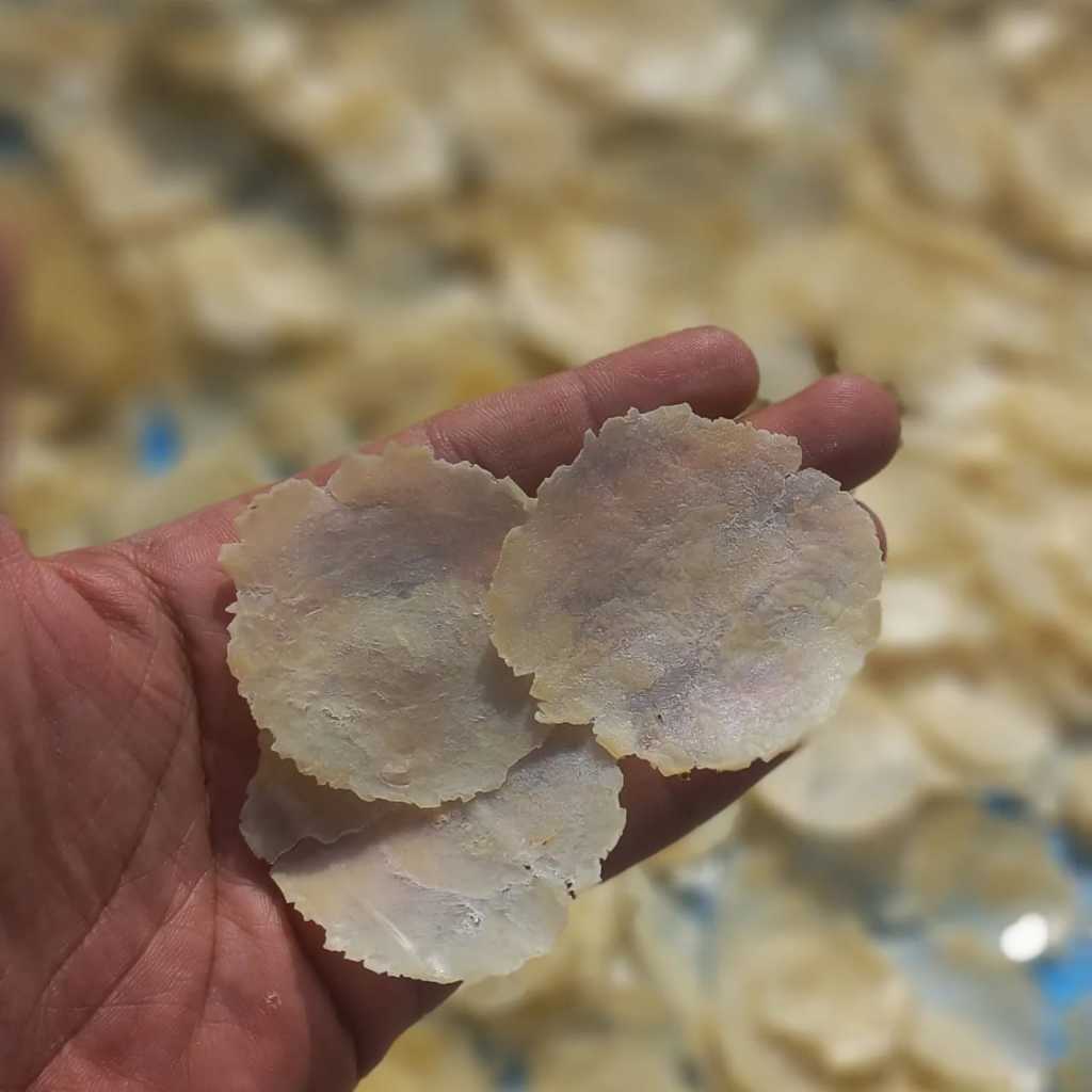 

Emping Melinjo Mentah Super Tipis Original Asli Produksi Limpung 1Kg