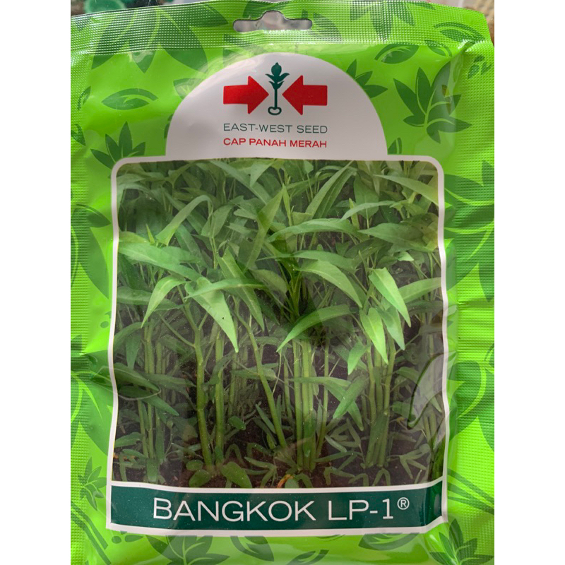 Bangkok lp-1-benih kangkung
