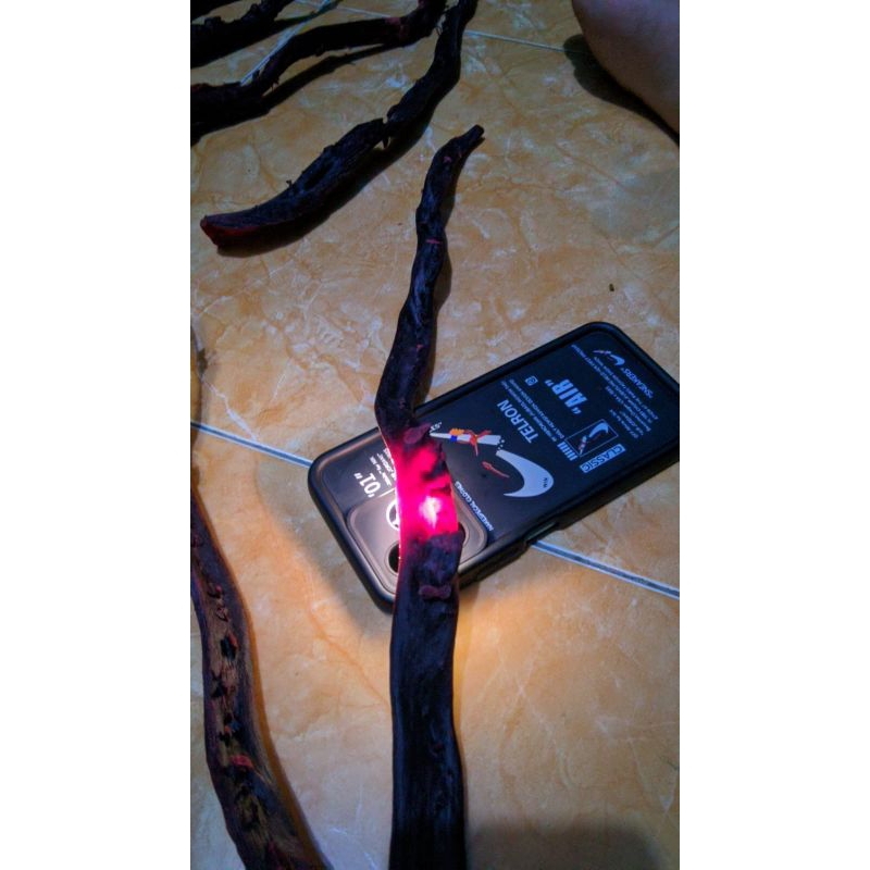 Bahan merah akar Bahar tembus chya