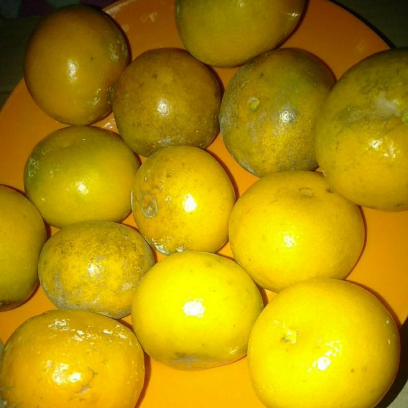 

Buah Jeruk Siam Siem Siyem manis segar