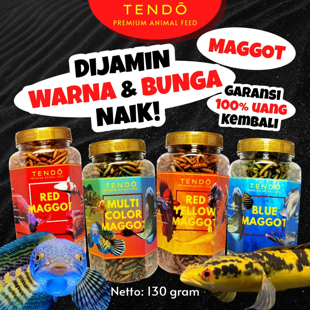 MAGGOT PAKAN IKAN CHANA CHANNA AURANTI MARU ARWANA MAGOT KERING CANA TENDO 130 GRAM