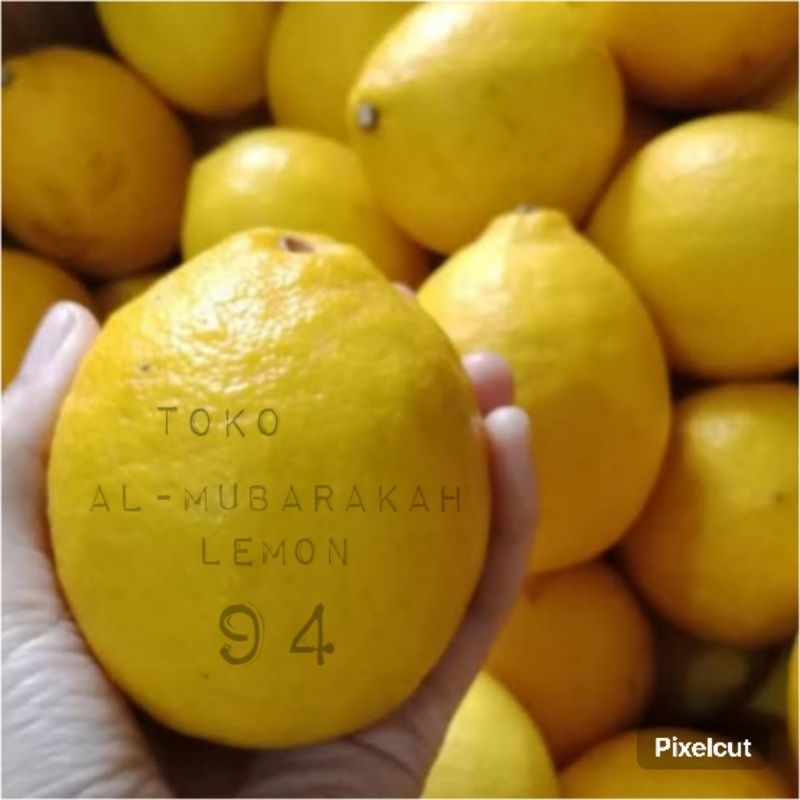 

Jeruk Lemon Kualitas Super 1 Buah Ukuran Kecil