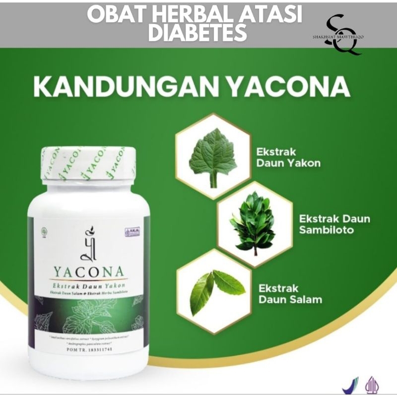 

Yacona Minuman Herbal Atasi Diabetes