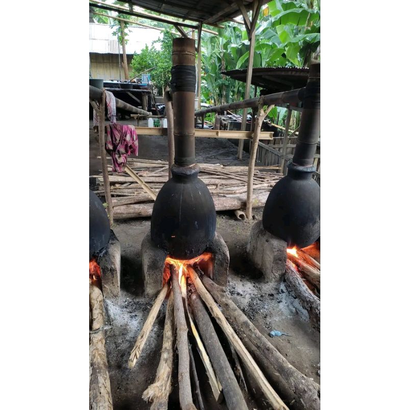 

Minuman tradisional Asli NTT