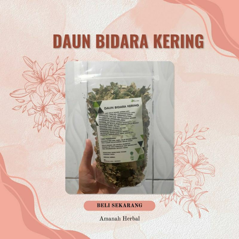 

Daun Bidara Kering