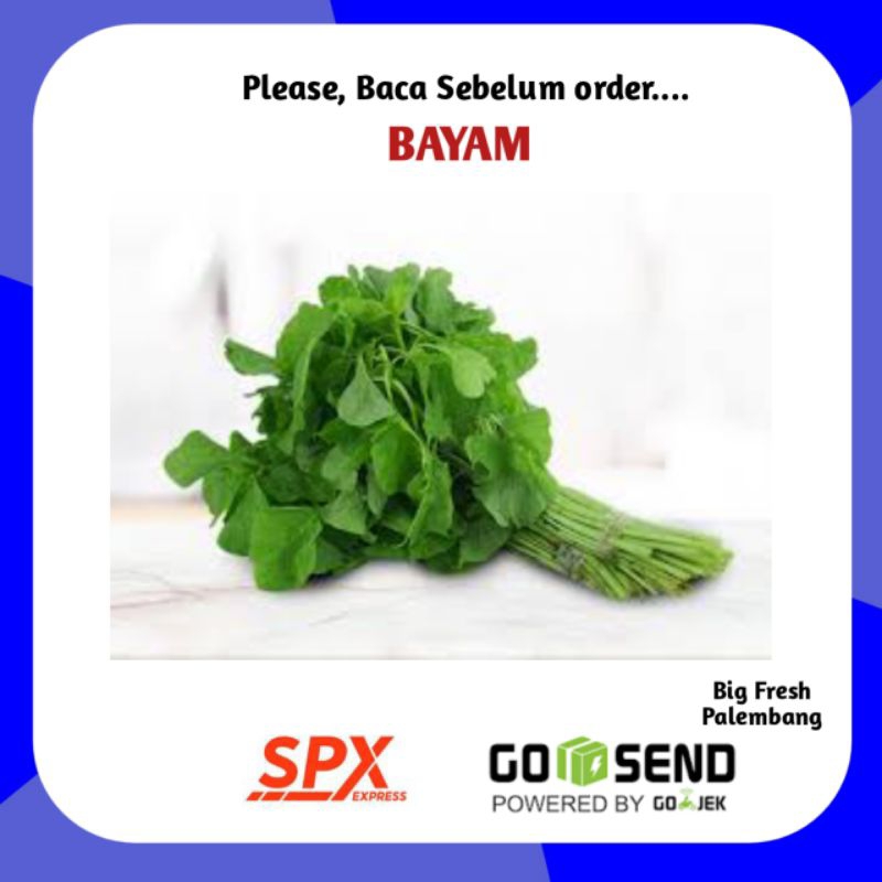 

Bayam Segar Per Ikat - Sayur Segar Palembang Online