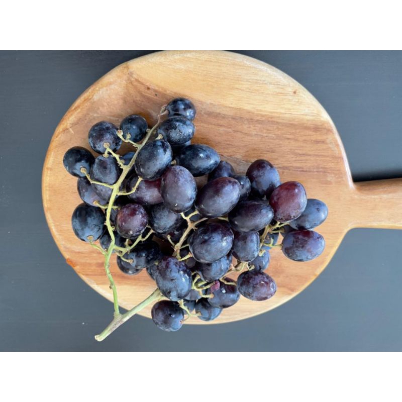 

Buah anggur hitam pack -500 gr- / pack
