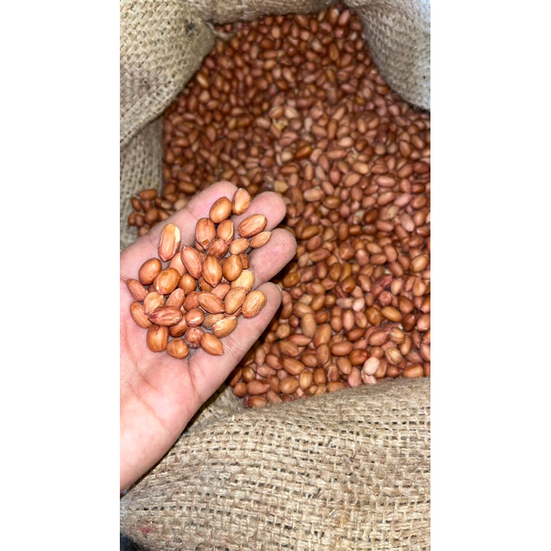 

Kacang Tanah / Suuk / kacang tanah kupas