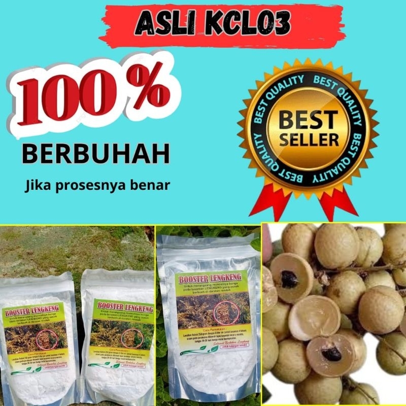 DISKON Boster Kelengkeng, Pupuk Lengkeng Boster