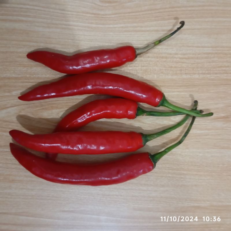 

CABE CABAI MERAH BESAR 100 GRAM