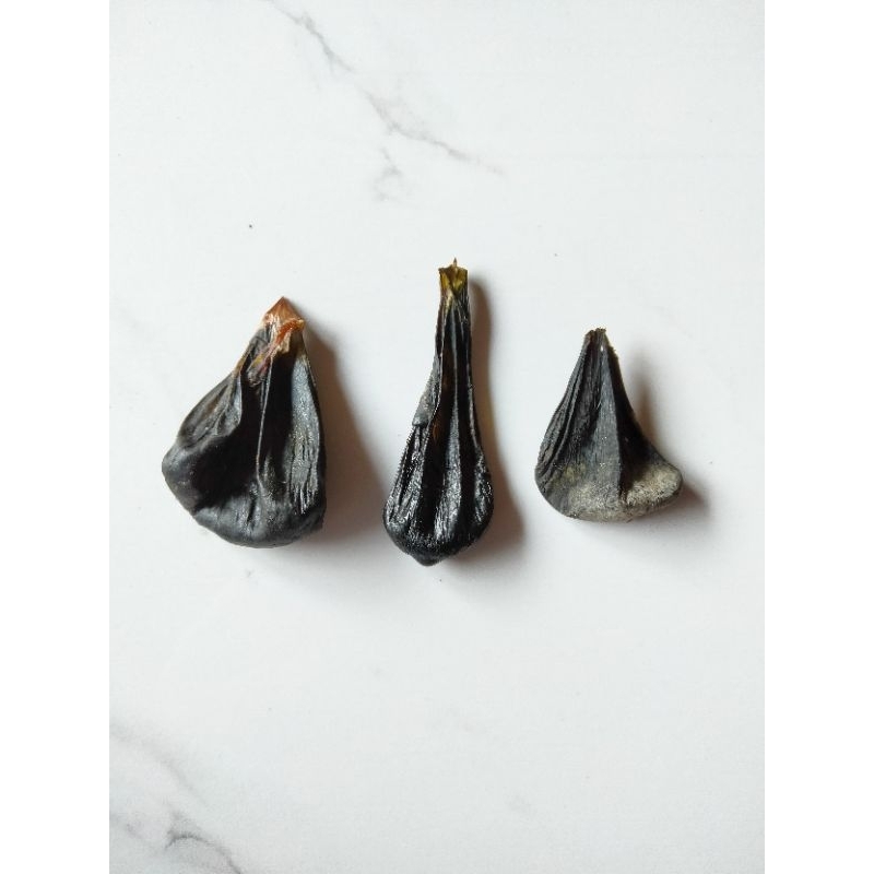 

Empedu Biawak 100% Asli biawak