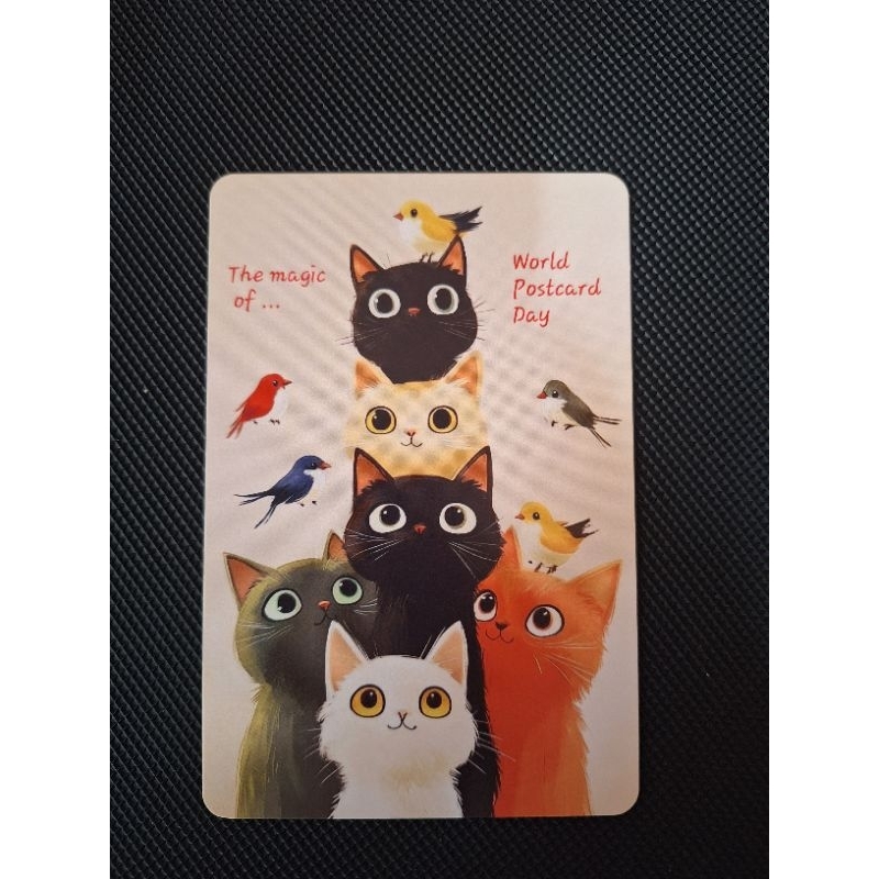 

kartu pos kucing world postcard day cat postcard