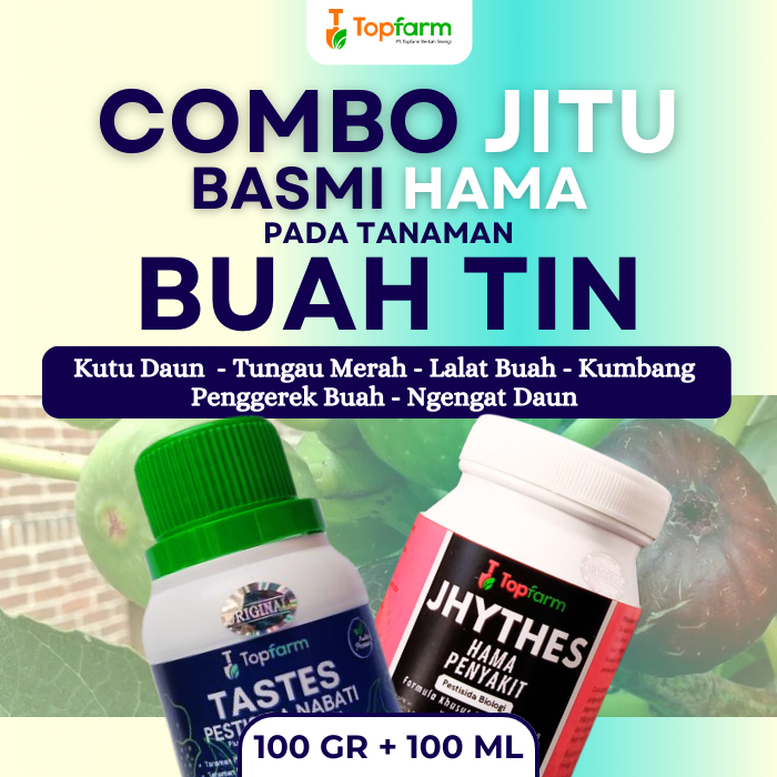 Insektisida Topfarm / Obat Khusus Tanaman Buah Tin / Obat Racun Utk Tanaman Buah Tin / Obat Jamur Ba