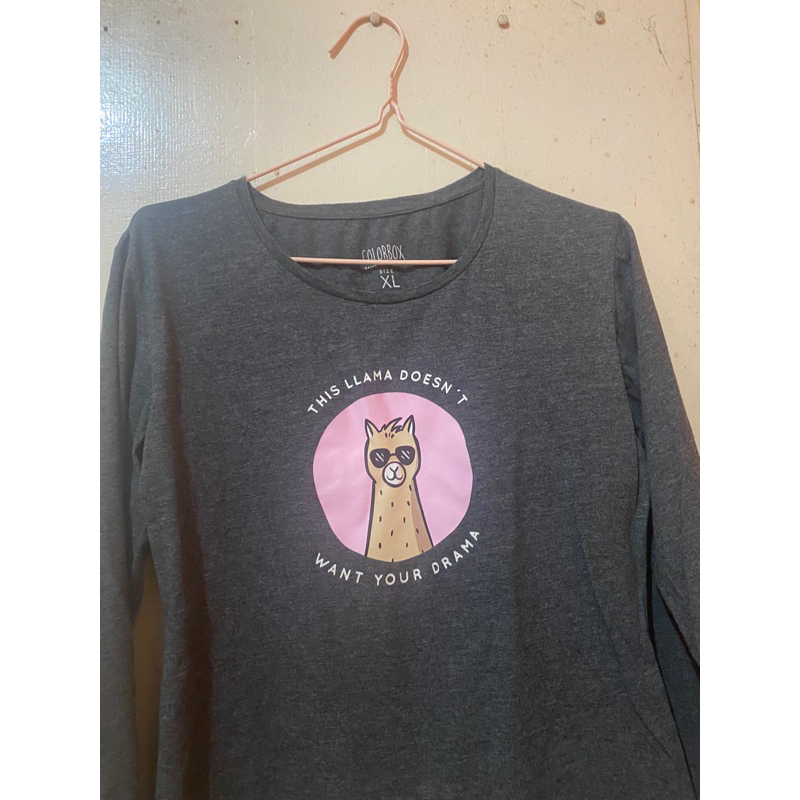 Preloved Tshirt Colorbox Kaos Panjang