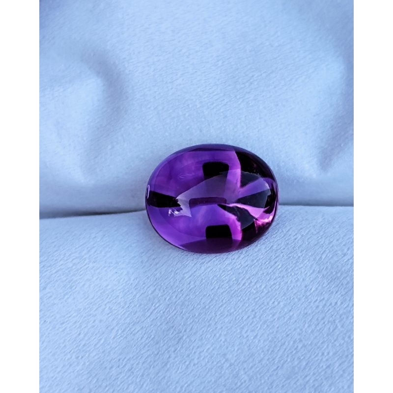 KECUBUNG UNGU PURPLE KECUBUNG ASLI BORNEO KALIMANTAN