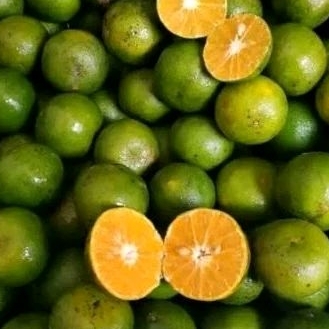 

jeruk peras 500g