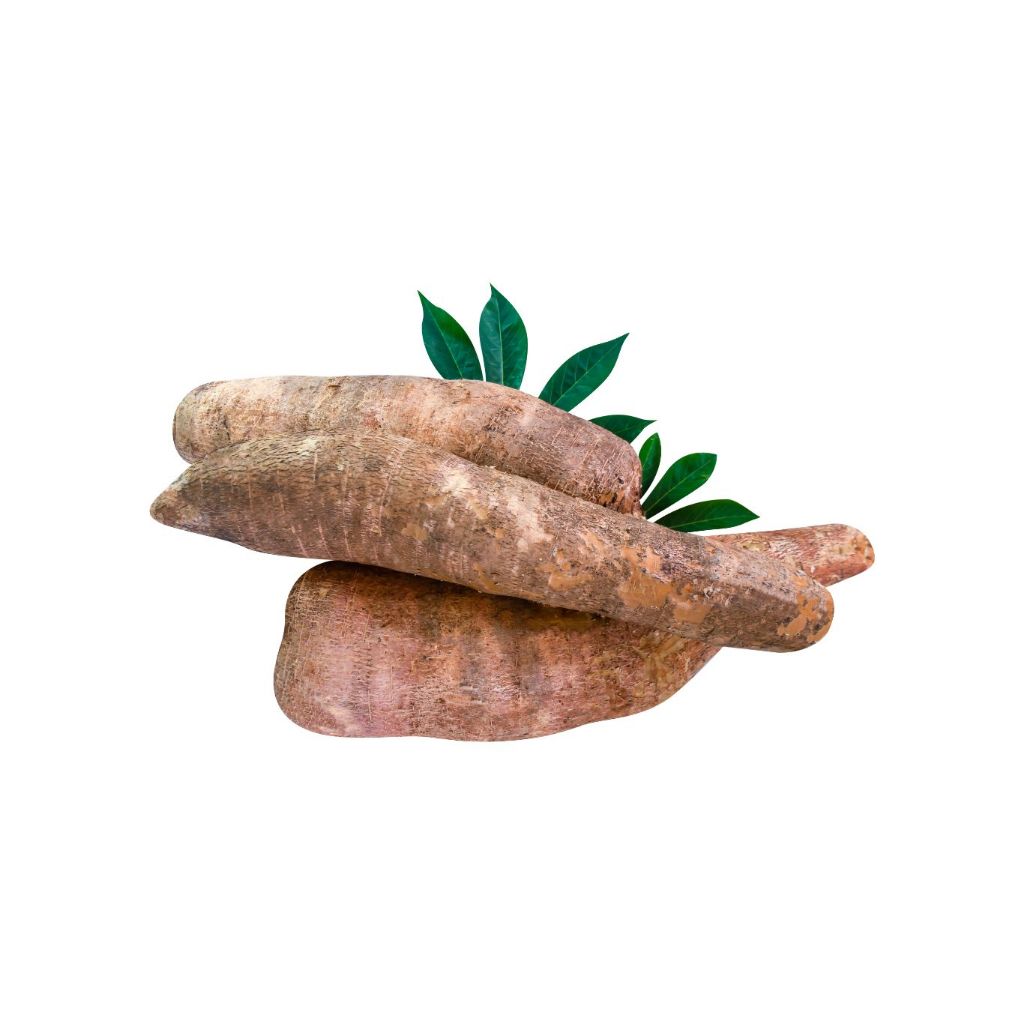 

Singkong /kg
