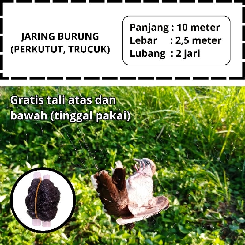 JARING BURUNG PERKUTUT PANJANG 10 X 2,5 METER JARING BURUNG KUTILANG JARING BURUNG SIAP PAKAI