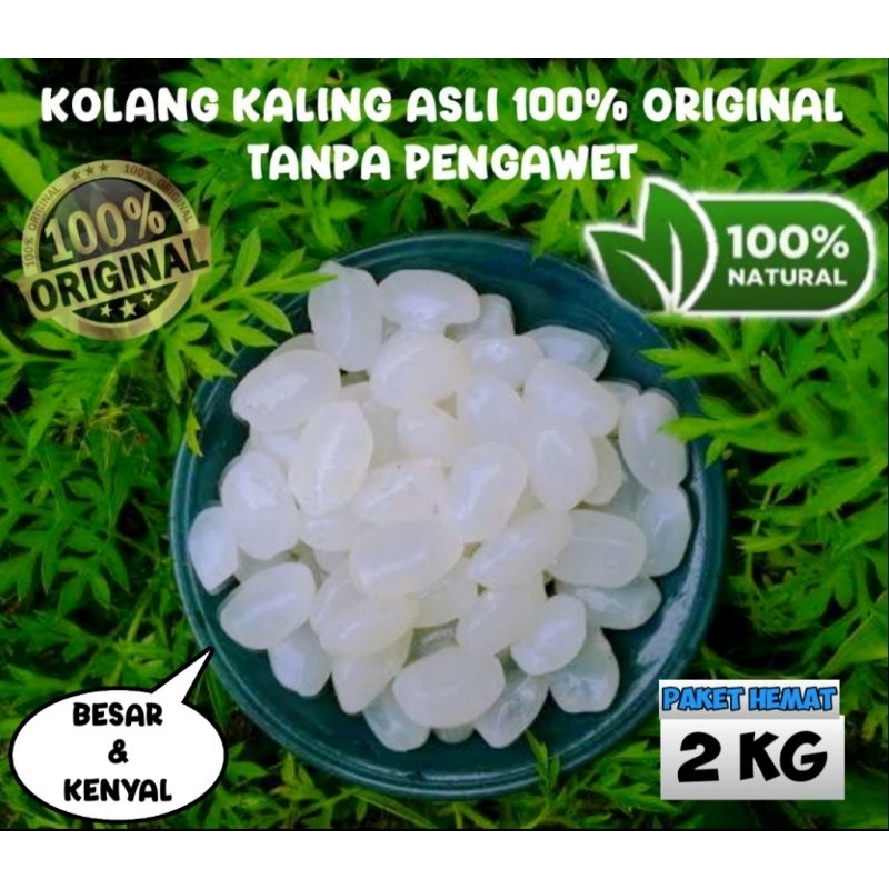 

BIG PROMO 2kg Biji Kolang Kaling Super Besar & Kenyal 100% Organik Asli Tanpa Bahan Pengawet