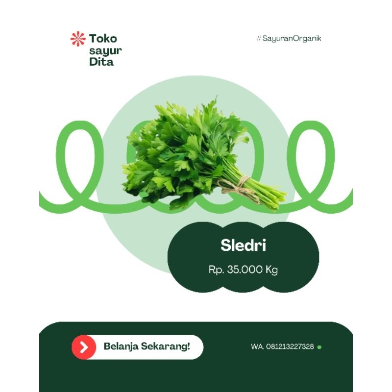 

Daun seledri per 500gram
