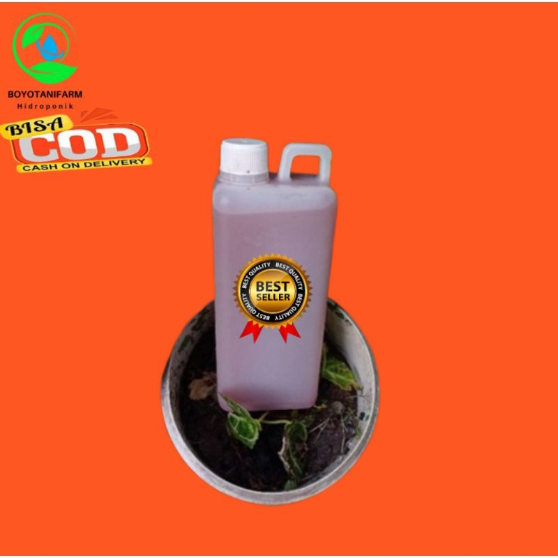 PSB Bakteri fotosintesis