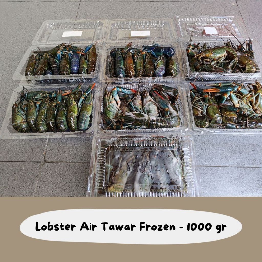 

Lobster Air Tawar (Crayfish) Frozen - 1000 gram