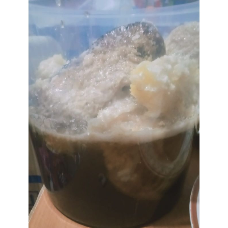 

Sarang-Madu-Honey-Comb-Hutan-Multifora-Muara-Enim