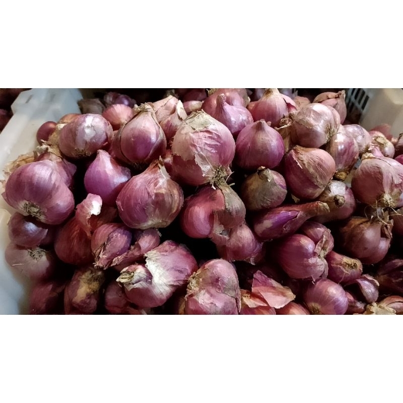 

bawang merah Brebes kering ukuran besar 1kg