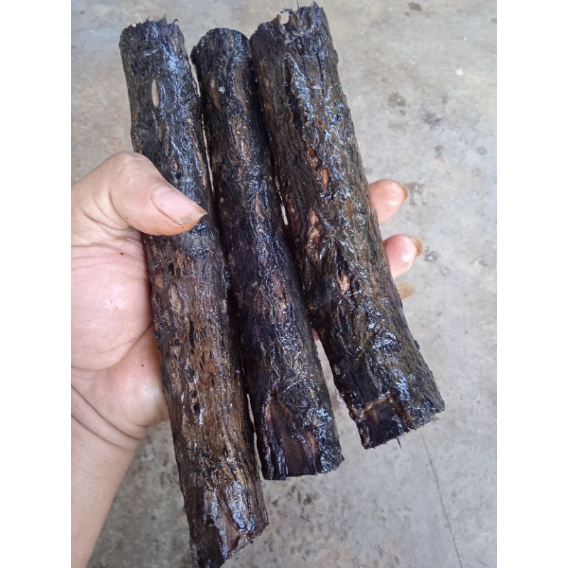 kayu stigi karimun bahan krajinan