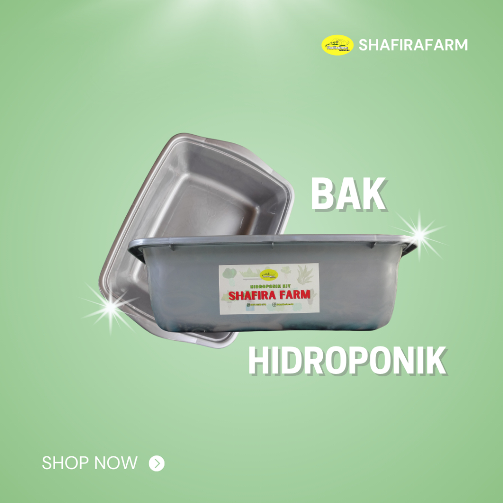 SHAFIRAFARM - BAK TAHU/BAK PERSEGI PANJANG PLASTIK SERBAGUNA