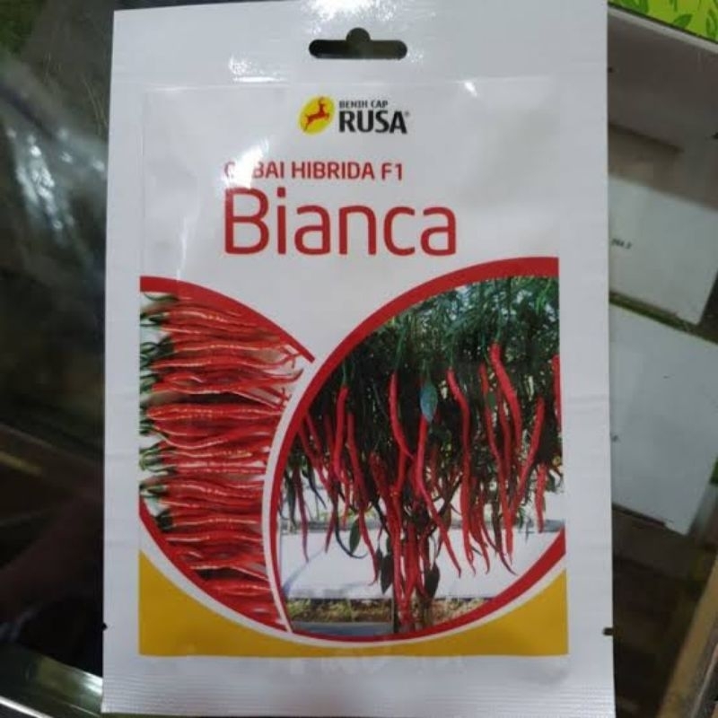 Benih bibit cabe keriting BIANCA F1 10 gram