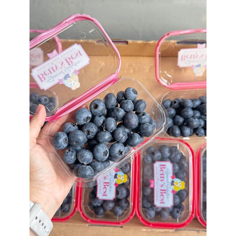 

Blueberry Betty Jumbo Ausie (PACK)