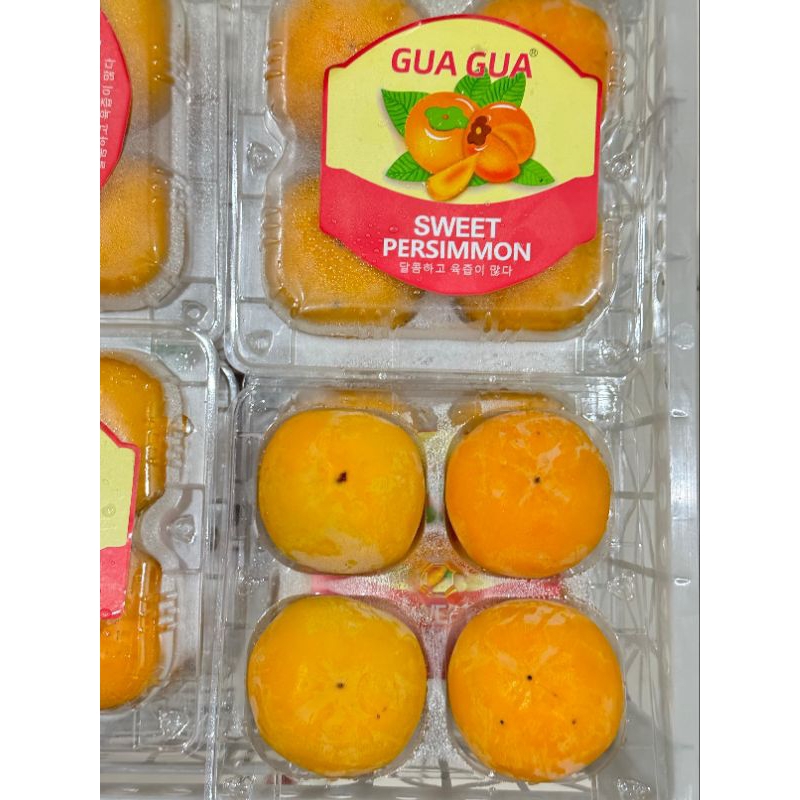 

Persimmon China (PACK)