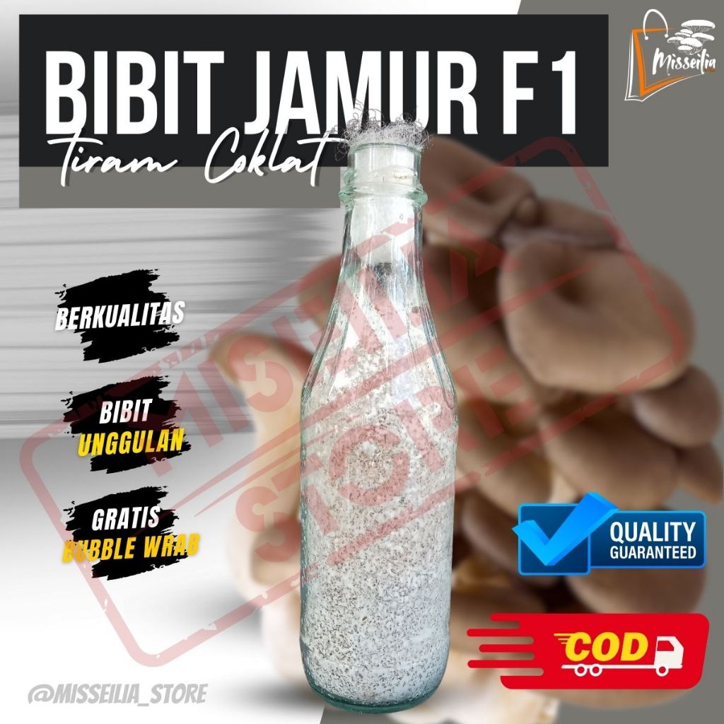 

Bibit Jamur Tiram Coklat F1 Benih Unggulan Berkualitas