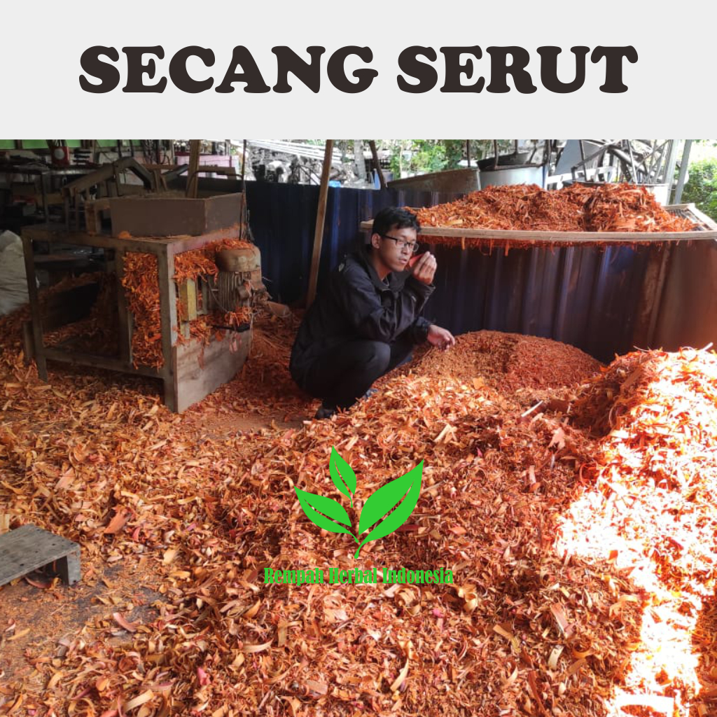 

1 Kg Kayu Secang Serut Kering Asli Organik Sappan Wood Herbal