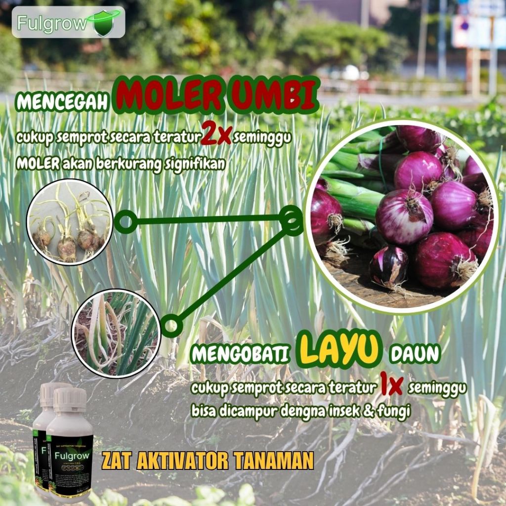 Fulgrow Zat Aktivator Tanaman Pupuk Anti Stres Anti Keriting Daun Fulka Ambition