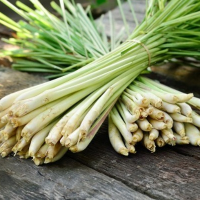 

Sereh Serai 500 gr Serai Bangkok Bersih Sereh Daun Sereh Batang Rempah