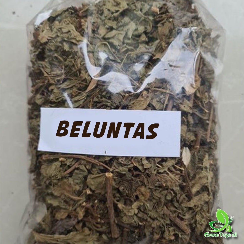 

Daun Beluntas Kering 100gr - Rahasia Kesegaran Alami