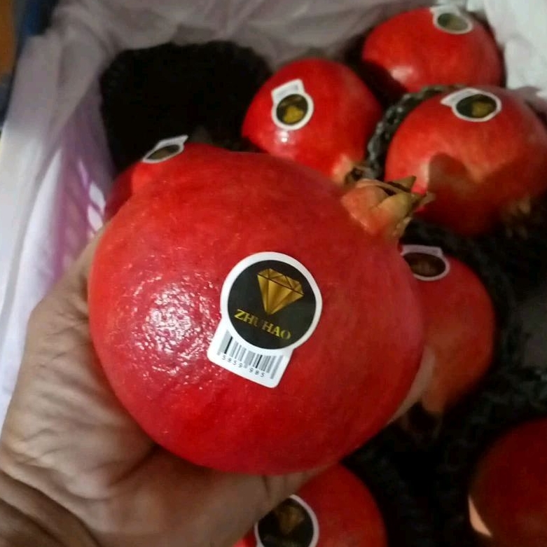

PROMO DELIMA JUMBO maniss biji lunak