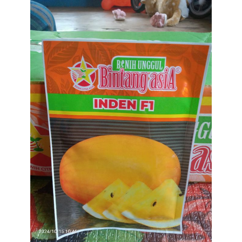 BenihSemangka(IDENF1) BintangAsia