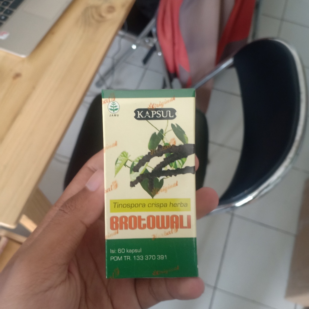 

Brotowali 60 kapsul Herbal diabetes