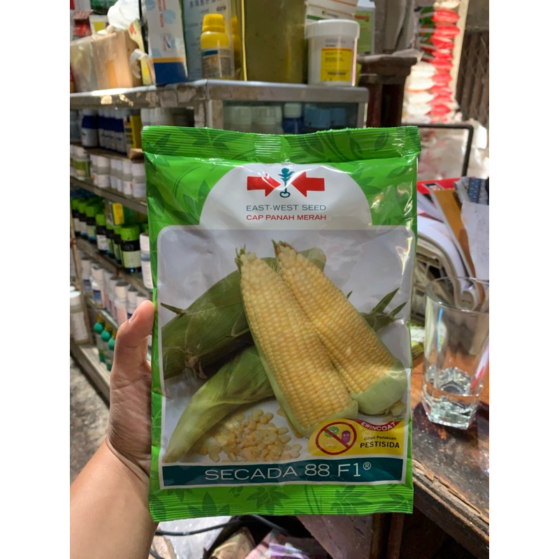 Benih Jagung Manis Secada 88 F1 - Bibit Cap Panah Merah