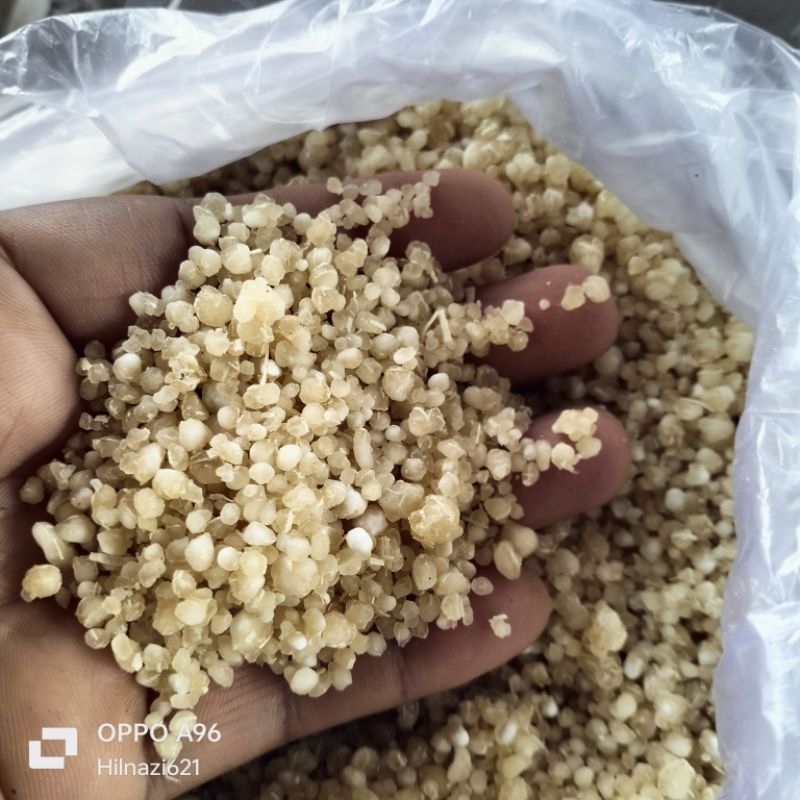 

OYEK KHAS CILACAP 1 KG