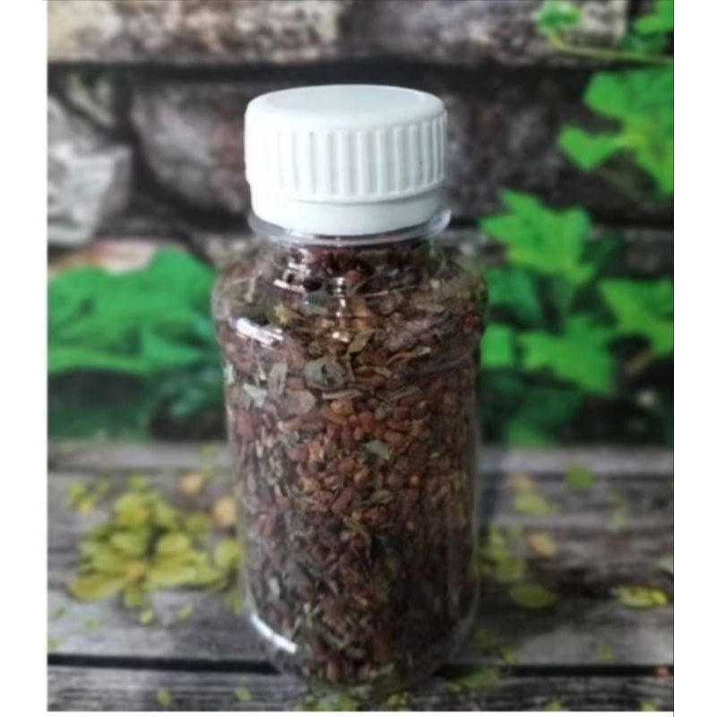 Sembur Karo | Sembur Pahit Atau Sembur pagit Anak dan dewasa