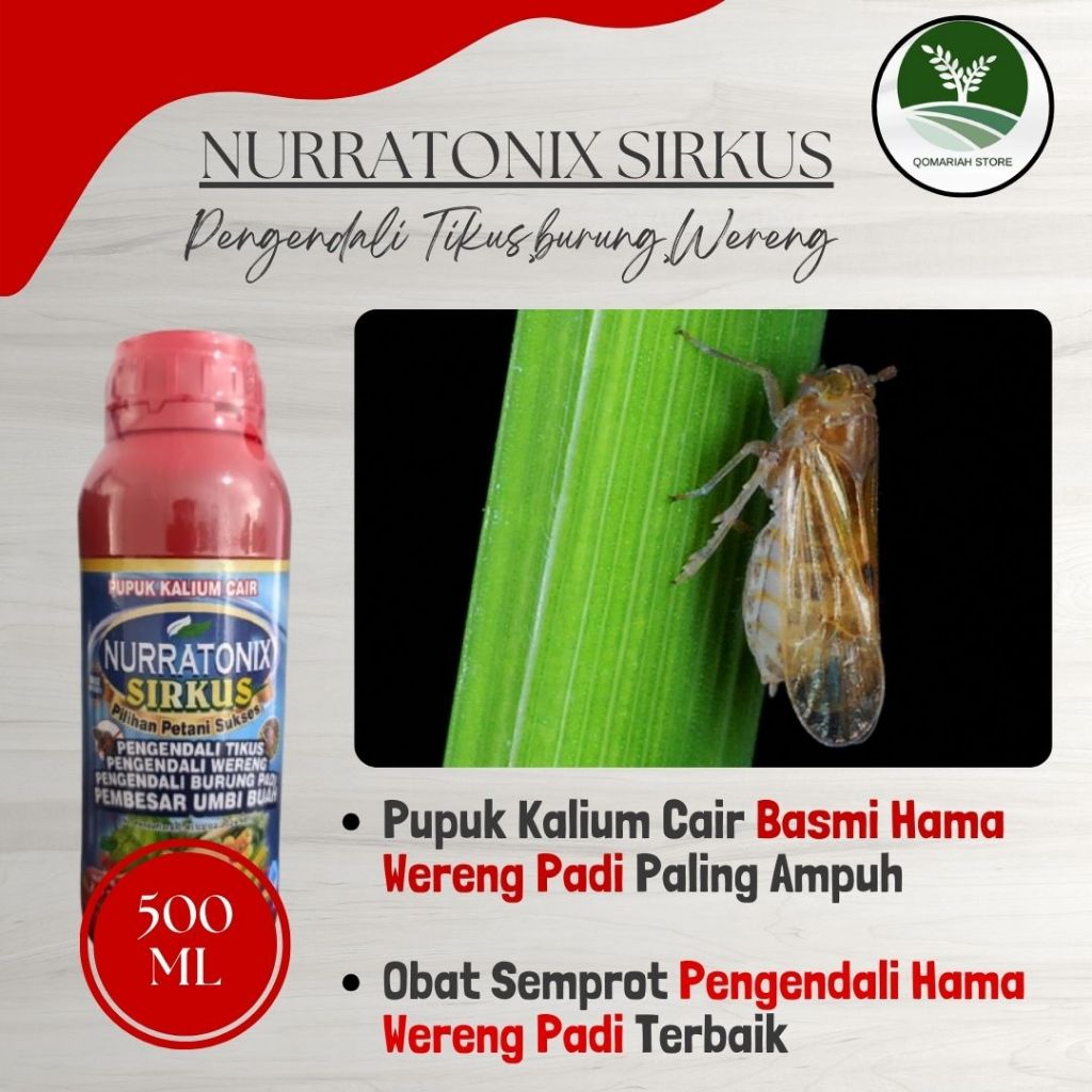 Nurratonix Sirkus Pengendali Wereng pada Tanaman Padi - Solusi Ampuh Basmi Wereng Padi - Obat Anti W