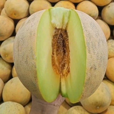 

Melon 1kg per kg